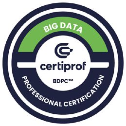 Big Data Professional Certification